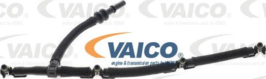 VAICO V25-2633 - PRZEWÓD PALIWA FORD FOCUS 1.5EB 18-