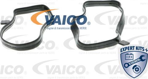 VAICO V20-0850 - Separator oleju