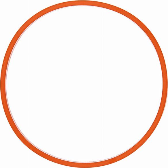 VDO A2C59516948 — Uszczelka