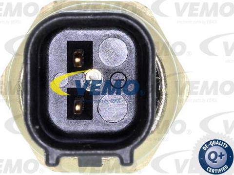 Vemo V25-73-0131 - CZUJNIK CIŚN. OLEJU FORD FOCUS 98-13