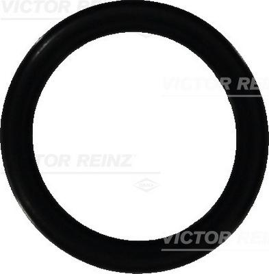 Victor Reinz 407647300 — Pierścień uszczelniający
