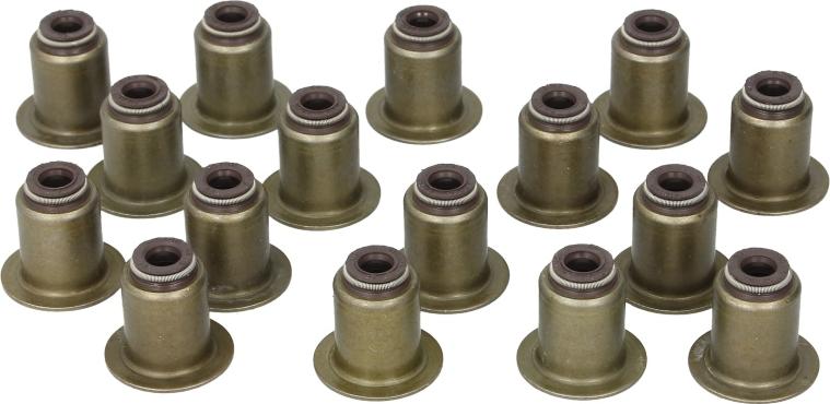 Victor Reinz 12-38539-01 - ZESTAW USZCZELNIACZY TRZONEK ZAWORU CITROEN FORD 2.0 2.2 HDI TDCI 06-
