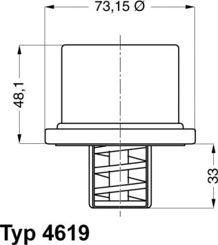 Wahler 4619.82 — Termostat, środek chłodzący