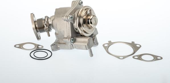 BorgWarner 7631D — Zawór AGR