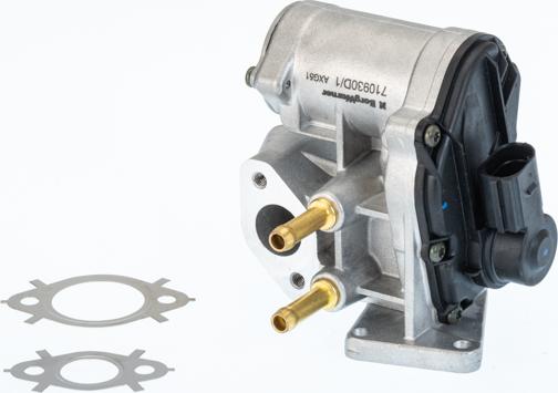 BorgWarner 710930D — Zawór AGR