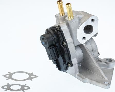 BorgWarner 710937D — Zawór AGR