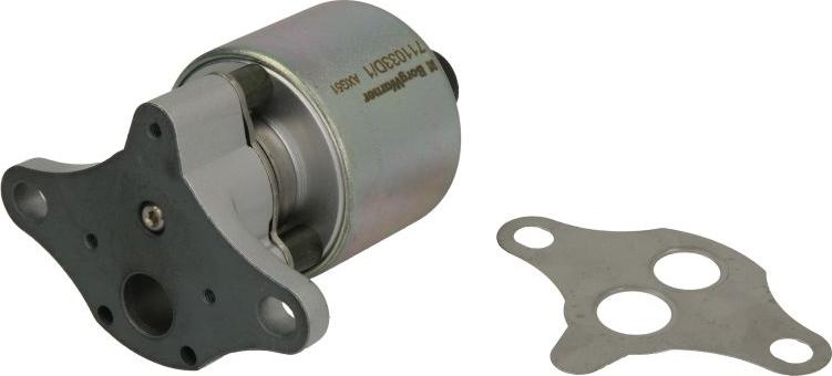BorgWarner 711033D — Zawór AGR