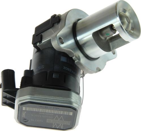 BorgWarner 7389D — Zawór AGR