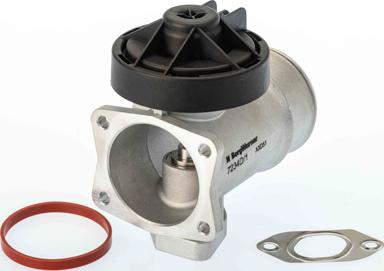 BorgWarner 7234D — Zawór AGR