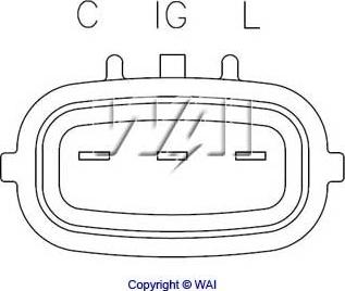 WAI IN6660 - REGULATOR ALTERNATORA TRANSPO