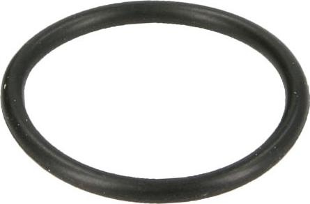 ZF 0734 313 181 — Pierścień uszczelniający
