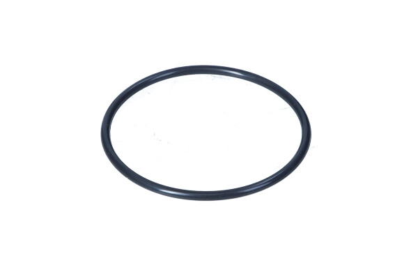 Mercedes-Benz A 028 997 18 48 - USZCZELKA ZAWORU EGR DB W203-W211-W209