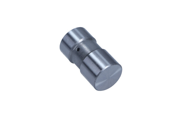 Maxgear 17-0154 - POPYCHACZ ZAWORU VW LUPO
