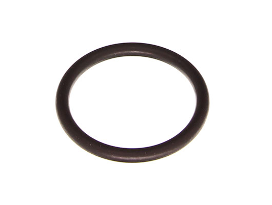 FORD 1720281 - O-RING KROĆCA GŁOWICY FORD C-MAX 15-
