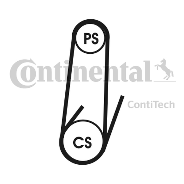 CONTINENTAL 4PK1102 ELAST — Pasek klinowy wielorowkowy