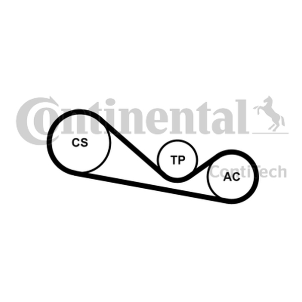 CONTINENTAL 4PK1237K1 - ZESTAW PASKA WIELOROWK. VW 2.5TDI AUDI-SKODA