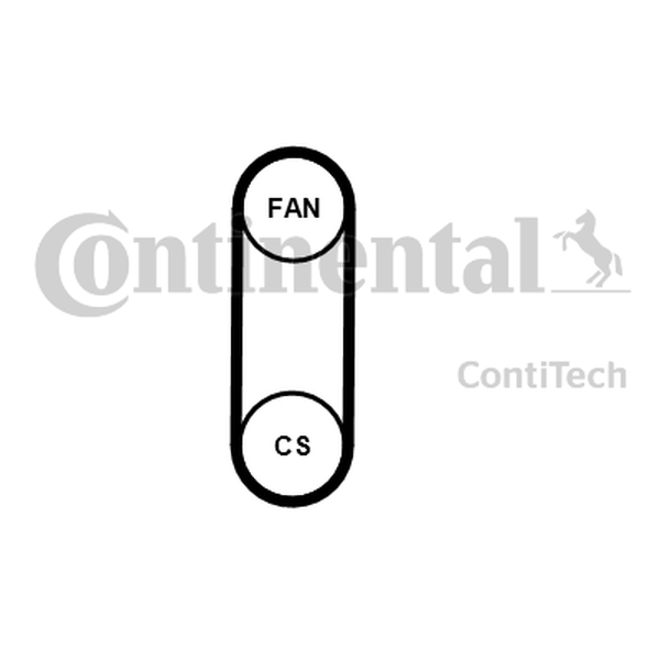 CONTINENTAL 4 PK 711 ELAST — Pasek klinowy wielorowkowy