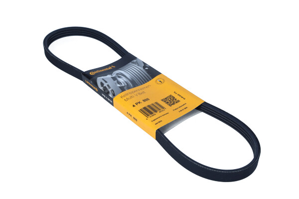 DAYCO 4PK800 - PASEK WIELOROWKOWY 4PK800