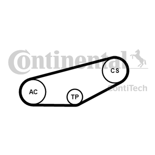 CONTINENTAL 4PK855K1 — Zestaw paska klinowego wielorowkowego