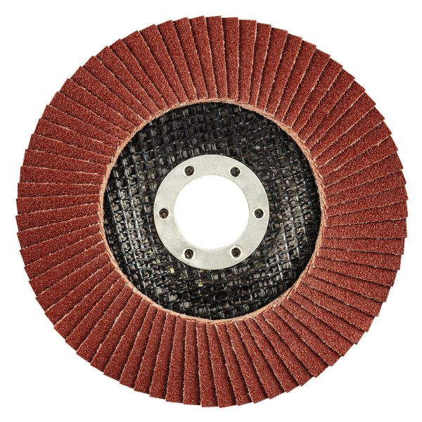 TOPEX 55H991 - ŚCIERNICA LISTKOWA TALERZOWA 125 MM. P120