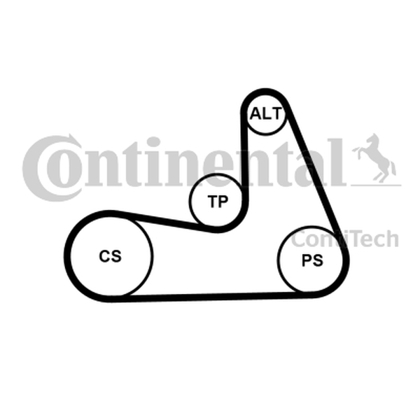 CONTINENTAL 5PK1121 EXTRA — Pasek klinowy wielorowkowy