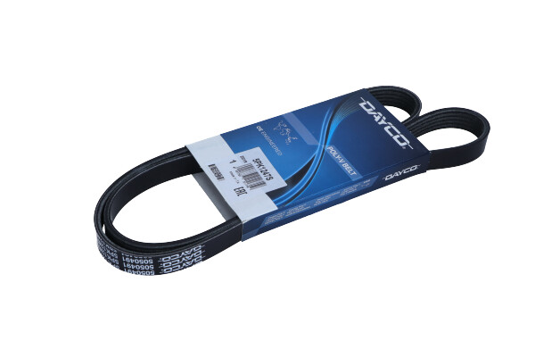 DAYCO 5PK1247S — Pasek klinowy wielorowkowy