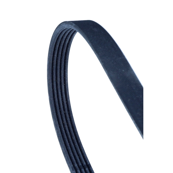 DAYCO 5PK1025 — Pasek klinowy wielorowkowy
