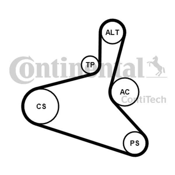 CONTINENTAL 6 DPK 1195 K1 — Zestaw paska klinowego wielorowkowego