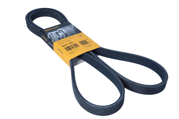 DAYCO 6DPK1825 — Pasek klinowy wielorowkowy