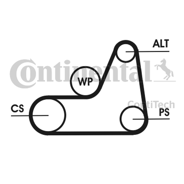 CONTINENTAL 6PK1042 ELAST — Pasek klinowy wielorowkowy