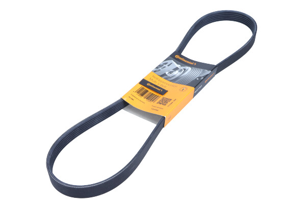 DAYCO 6PK1050 — Pasek klinowy wielorowkowy