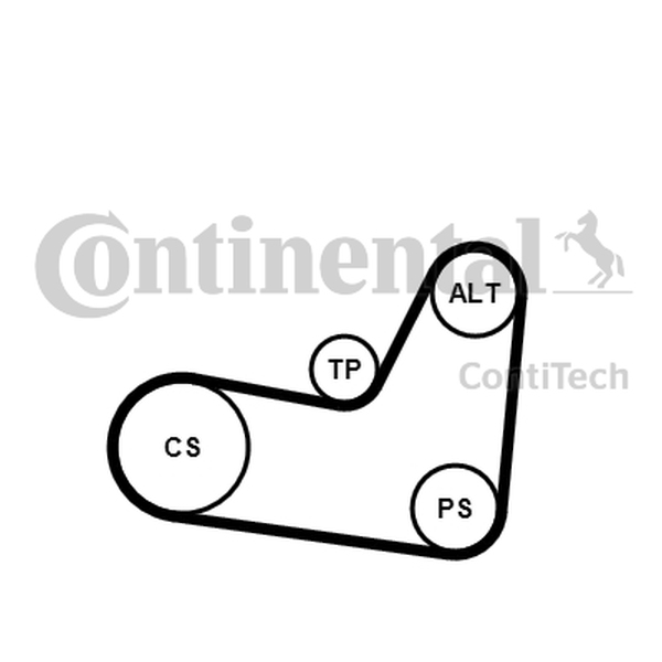 CONTINENTAL 6PK1070K2 — Zestaw paska klinowego wielorowkowego