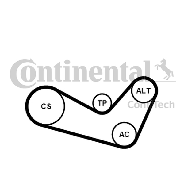 CONTINENTAL 6 PK 1080 K1 — Zestaw paska klinowego wielorowkowego