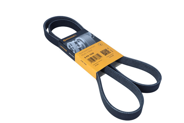 DAYCO 6PK1538 — Pasek klinowy wielorowkowy