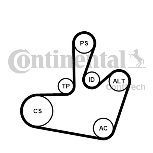 CONTINENTAL 6PK1548K1 — Zestaw paska klinowego wielorowkowego