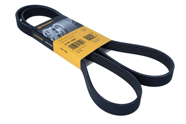 DAYCO 6PK1555 — Pasek klinowy wielorowkowy