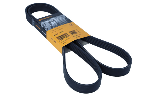 DAYCO 6PK1570 — Pasek klinowy wielorowkowy