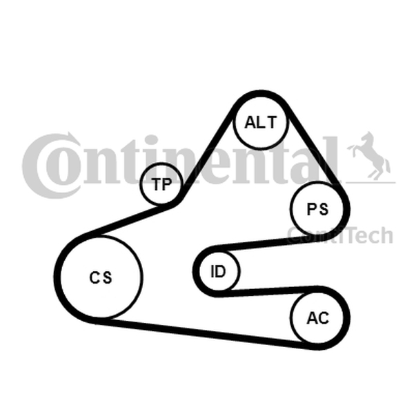 CONTINENTAL 6 PK 1613 K1 — Zestaw paska klinowego wielorowkowego