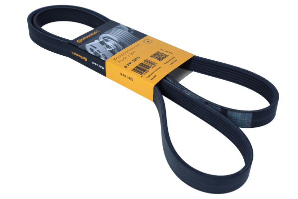 DAYCO 6PK1670 — Pasek klinowy wielorowkowy