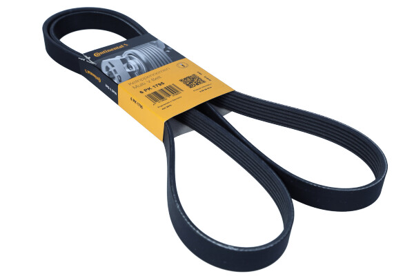 DAYCO 6PK1795 — Pasek klinowy wielorowkowy