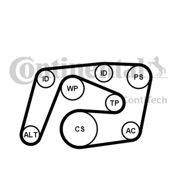 CONTINENTAL 6PK2260K1 - ZESTAW PASKA WIELOROWK. DB W203-204 W211 CDI