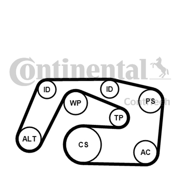 CONTINENTAL 6PK2271K1 — Zestaw paska klinowego wielorowkowego