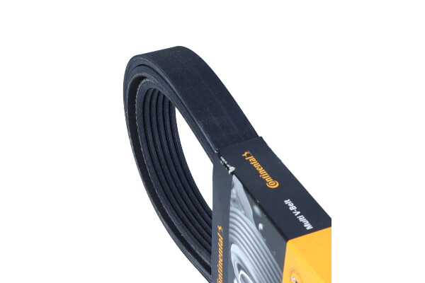 CONTINENTAL 6 PK 2330 — Pasek klinowy wielorowkowy