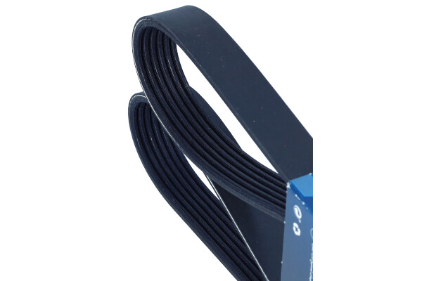 DAYCO 6PK2450 — Pasek klinowy wielorowkowy