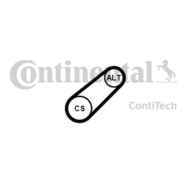 CONTINENTAL 6 PK 701 ELAST — Pasek klinowy wielorowkowy