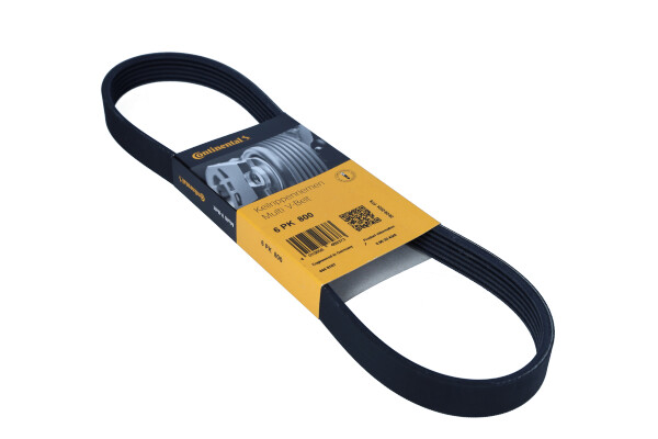 CONTINENTAL 6PK800 — Pasek klinowy wielorowkowy