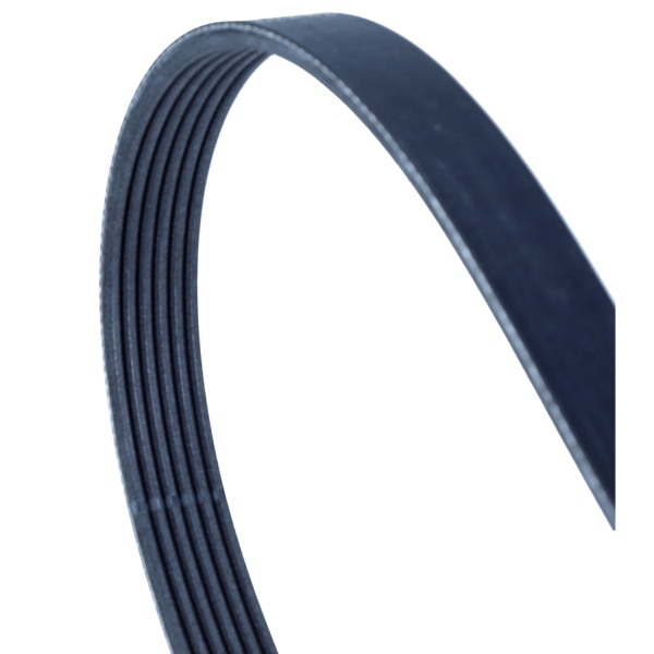 CONTINENTAL 6 PK 2528 — Pasek klinowy wielorowkowy