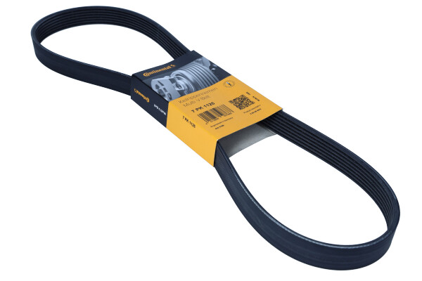 CONTINENTAL 7PK1125 — Pasek klinowy wielorowkowy