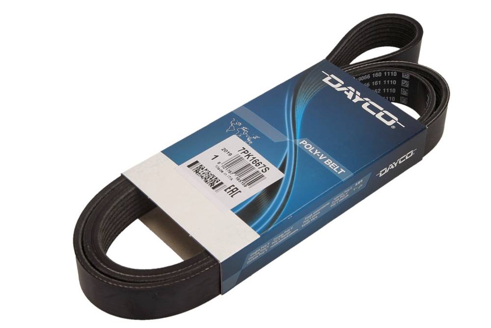 DAYCO 7PK1667S — Pasek klinowy wielorowkowy