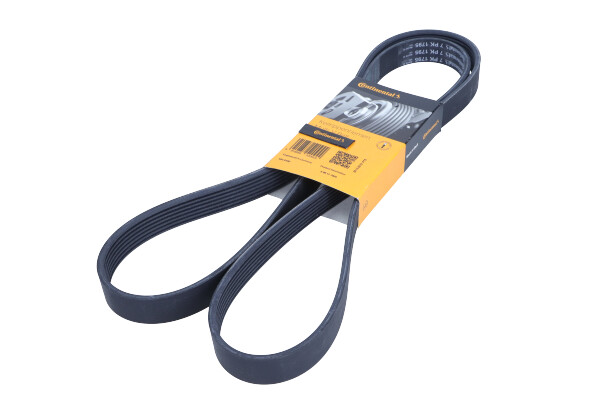 CONTINENTAL 7PK1795 — Pasek klinowy wielorowkowy